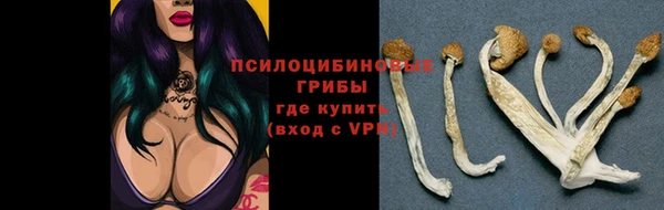 гашик Каменск-Шахтинский