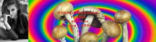гашик Каменск-Шахтинский