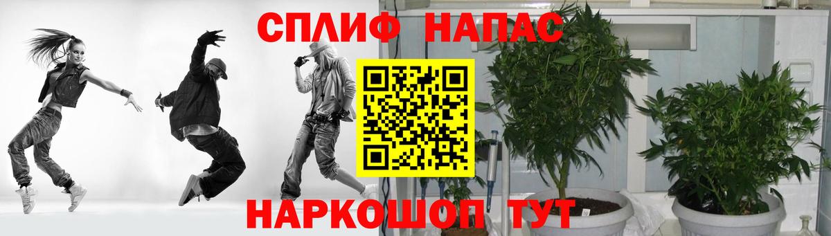 Каннабис марихуана Волжский